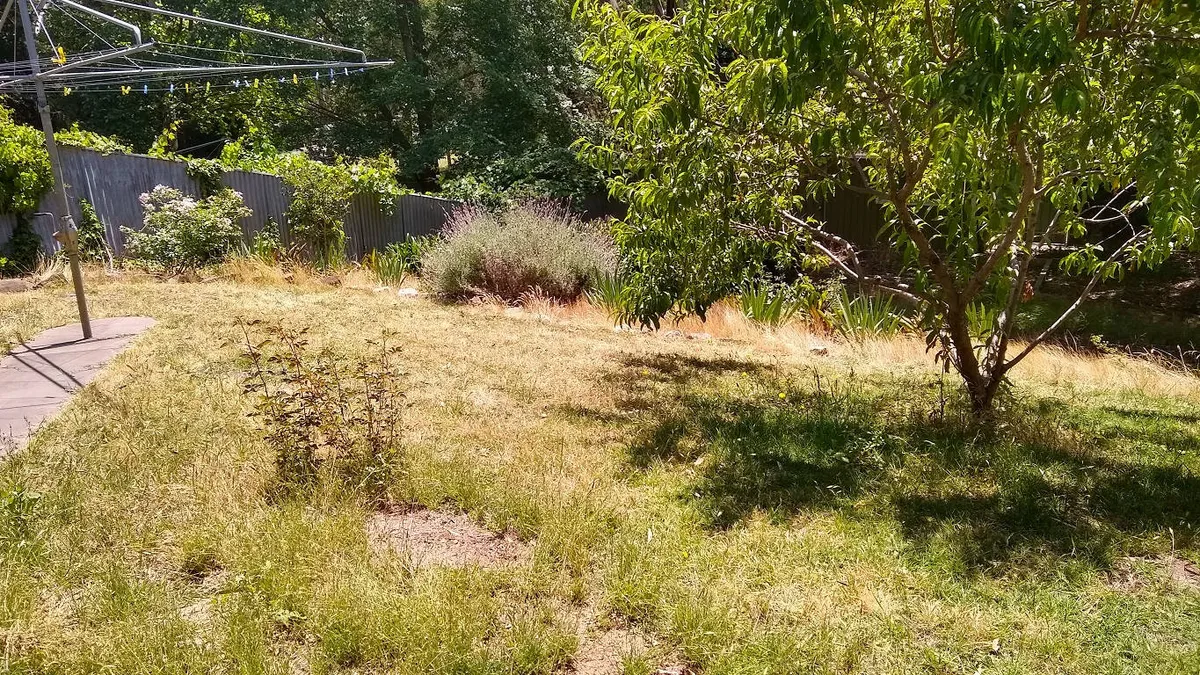 Completed lawn and property maintenance project 1 by Cut n Polish