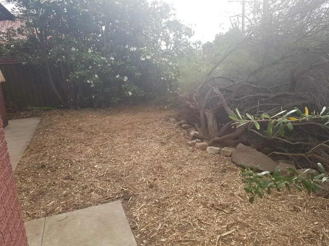 Completed lawn and property maintenance project 12 by Cut n Polish