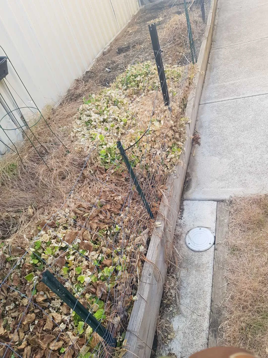 Completed lawn and property maintenance project 15 by Cut n Polish