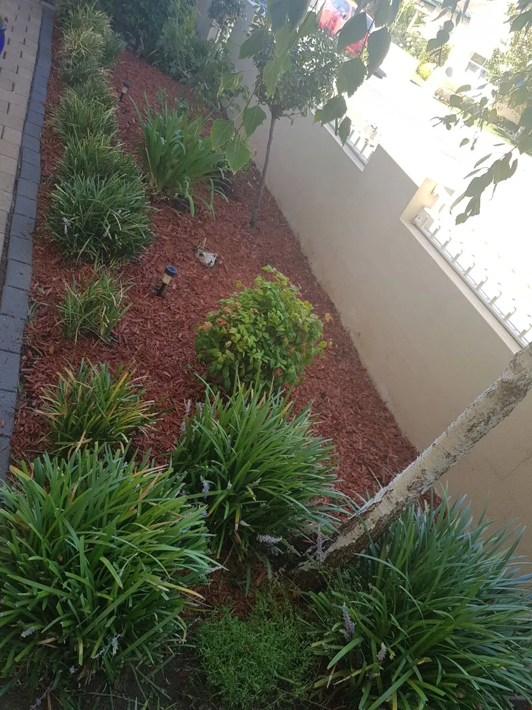 Completed lawn and property maintenance project 18 by Cut n Polish