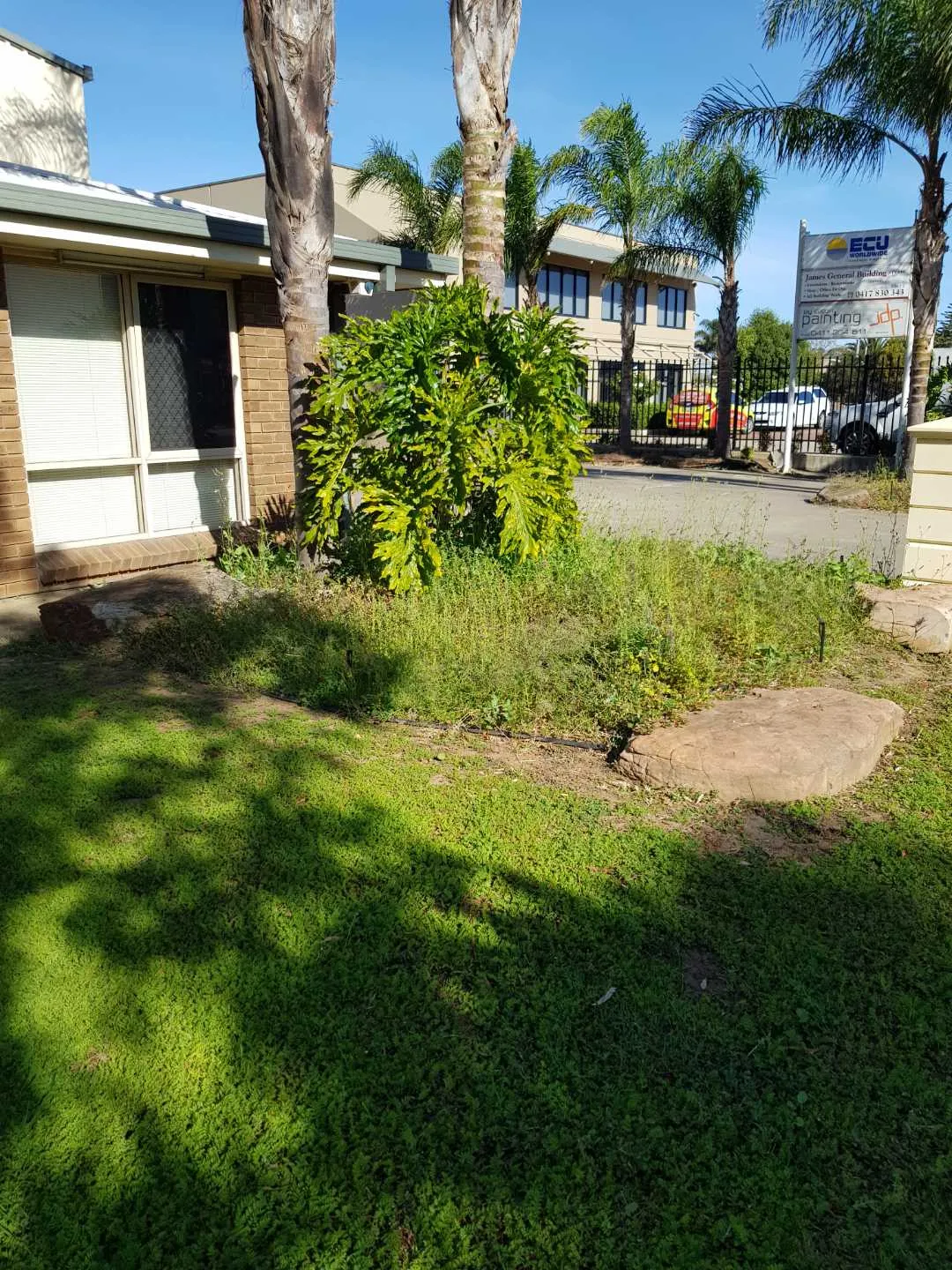 Completed lawn and property maintenance project 7 by Cut n Polish