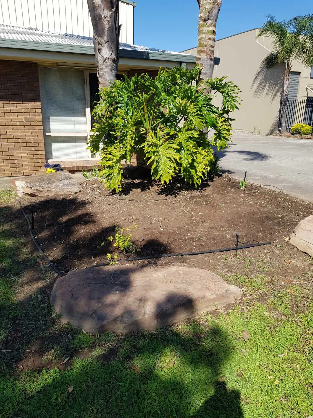 Completed lawn and property maintenance project 8 by Cut n Polish